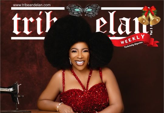 nkechi harry ngonadi